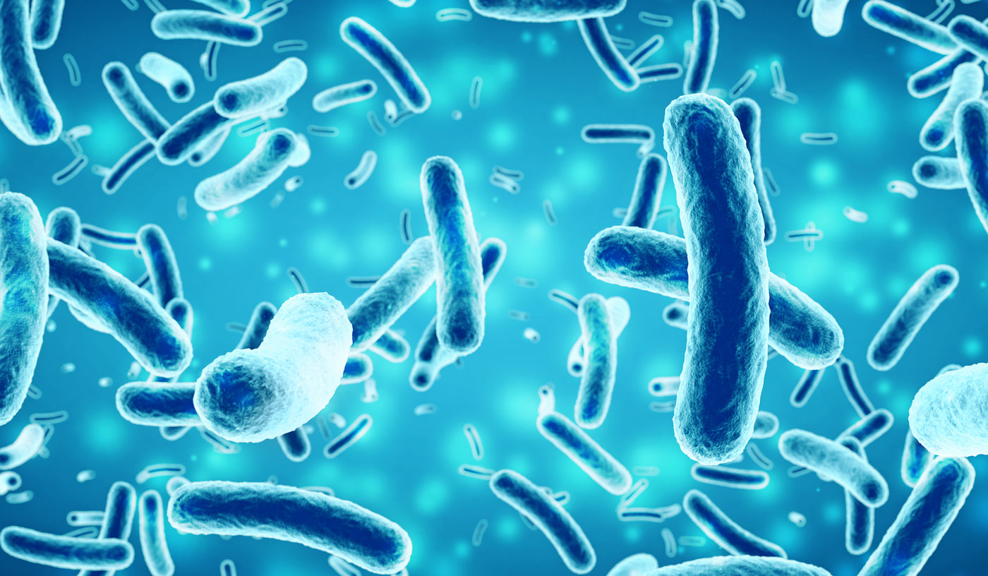 What is ultraviolet (UV) disinfection?