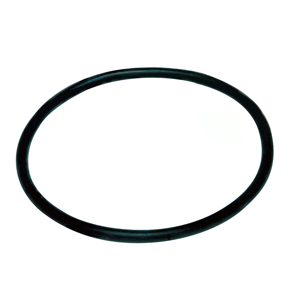 201729- O-RING, 4", PVC, AXEON