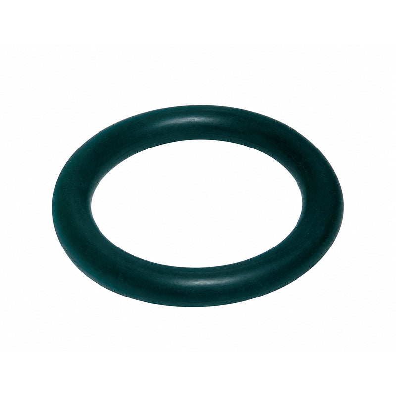 201731- O-RING, 1/2", PVC, AXEON