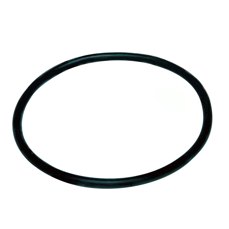 201730- O-RING, 2.5", PVC, AXEON