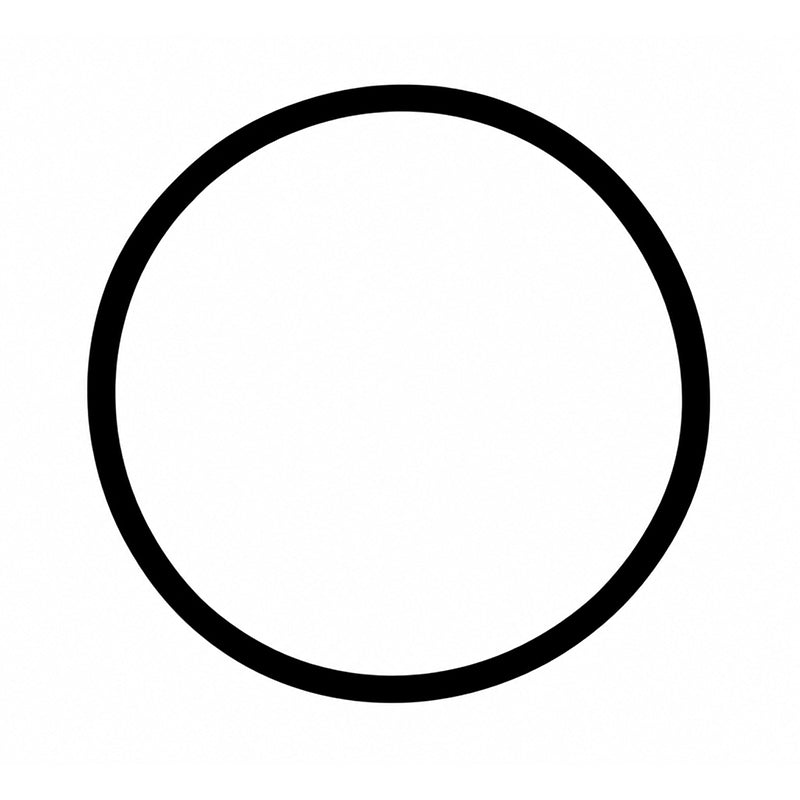 211924- O-RING, HOUSING CAP, MEMBRANE, 53.57MM, AXEON