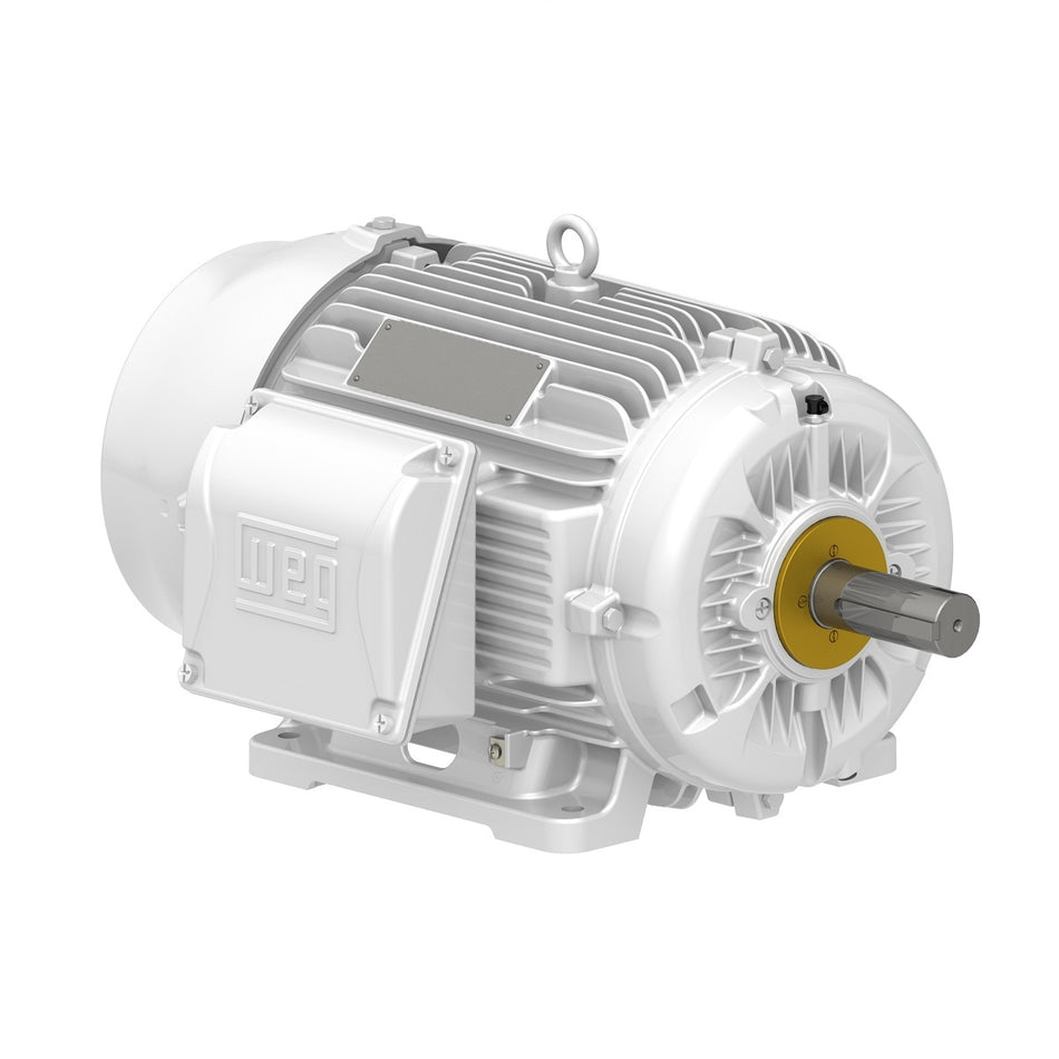 205864- MOTOR, WHITE, TEFC, 2.5 HP, 220V 50/60HZ, 56C, WEG